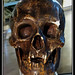 Robert Bruce Photo 28
