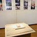 Paul Lewis Photo 27