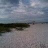 Traci Wright Photo 33