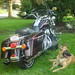 Sadie Davidson Photo 11