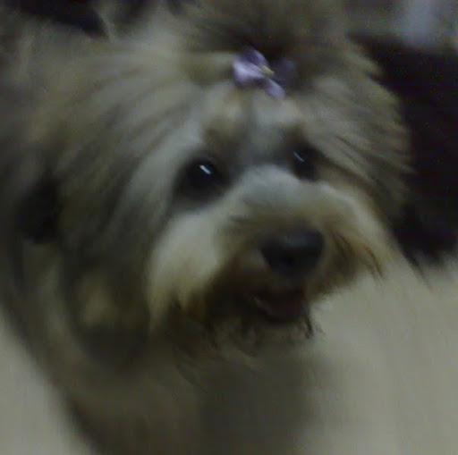 Sam Gee Photo 6