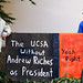 Andrew Rich Photo 26