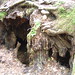 Linda Toole Photo 11