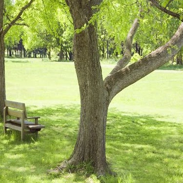 Elizabeth Slaughter Photo 27