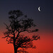 Dawn Morton Photo 19