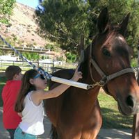 Tracy Tippett Photo 5