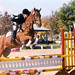 Julie Pritchard Photo 16
