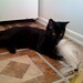 Laura Bartos Photo 9