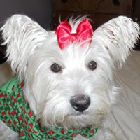 Diane Forest Photo 2