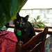 Sonya Moody Photo 8
