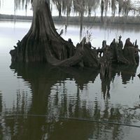 Keith Colbert Photo 18