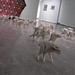 Heather Goodchild Photo 10