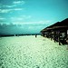 Sandy Cross Photo 22