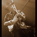 Jimmy Vo Photo 19