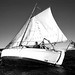Tom Peebles Photo 25