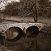 Linda Burnside Photo 5