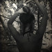 Rose Rossetti Photo 5