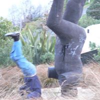 Wayne Buckingham Photo 23