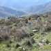 Heidi Puente Photo 6