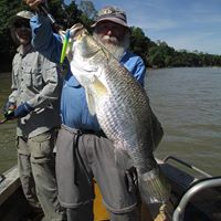 Wayne Ross Photo 22