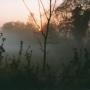 Duncan Thomson Photo 11