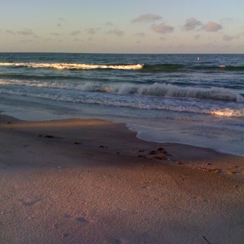 Kathy Mcclintock Photo 9
