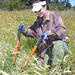 Susan Hawes Photo 23