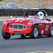 David Healey Photo 36