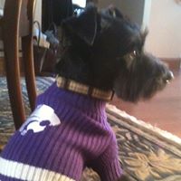 Susan Worrell Photo 9