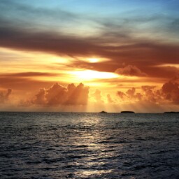 Ann Merrill Photo 38