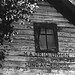 Margaret White Photo 11