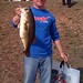 Seth Browning Photo 12
