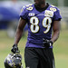 Mark Mcdaniel Photo 12