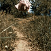 Bob Suh Photo 13
