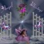 Brenda Newcomb Photo 19
