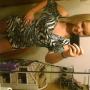Miranda Lowe Photo 17