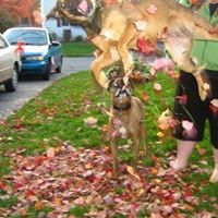 Kaitlyn Gauthier Photo 6