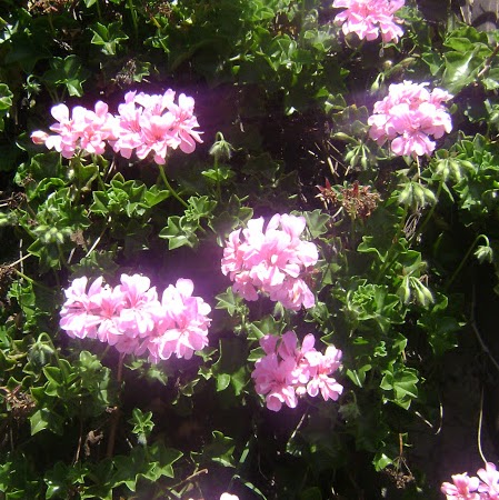 Magdalena Cordova Photo 5