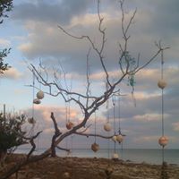Andrew Burke Photo 20