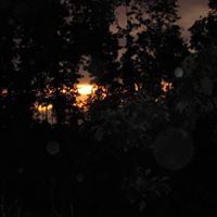 Stephen Earley Photo 8