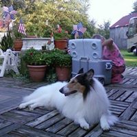 Sandra Selby Photo 12