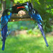 Bill Bird Photo 29