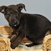 Kelli Shepherd Photo 9