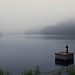 Dawn Cox Photo 21