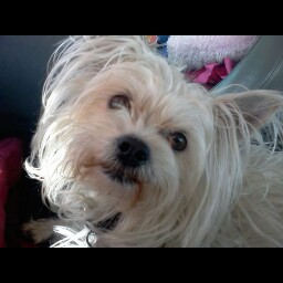 Sandra Shelton Photo 16
