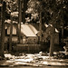 Seth Robbins Photo 33