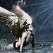 Andre Alexander Photo 29
