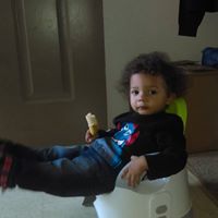 Michael Garfield Photo 28
