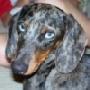 Kimberly Robison Photo 9