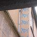 Leonard Lane Photo 12